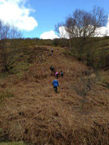 thumb_IMG_0942_1024