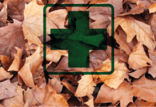 Outdoor & Forest School First Aid RQF L3 (2 day)