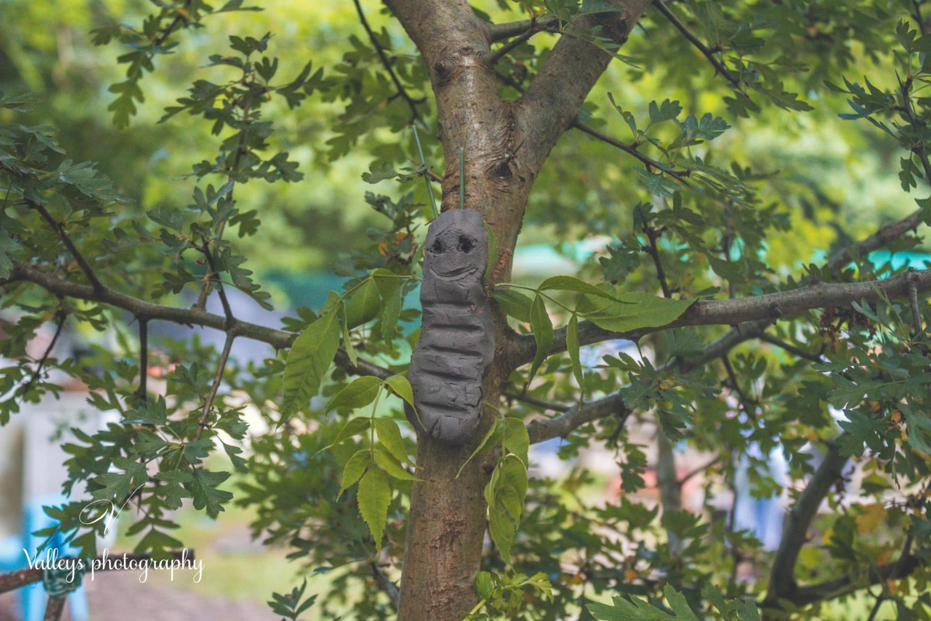 Clay Butterflies at Forest School